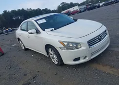 1N4AA5AP6DC829403: 44567391