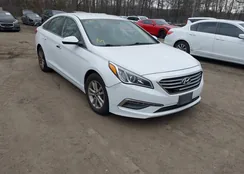 5NPE24AF8FH067564: 44568532