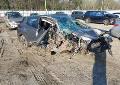 1N4AZ1CP9JC309576: 44568569