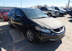 19XFB2F51FE083120: 44568628