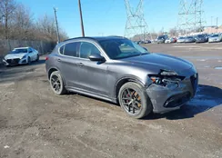 ZASPAKBN0M7D09519: 44569543