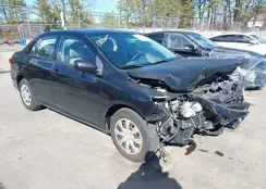 2T1BU4EE5BC605469: 44569797