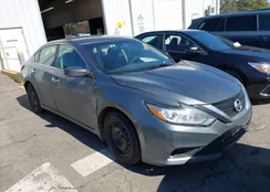 1N4AL3AP8GC180304: 44570065