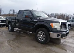 1FTFX1EF6BFA49499: 44570983