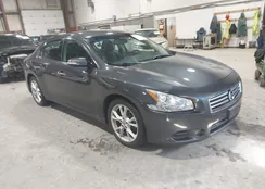 1N4AA5AP8CC863292: 44570254