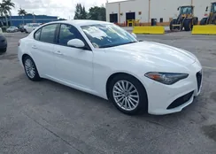 ZARFAMAN5N7660726: 44571321