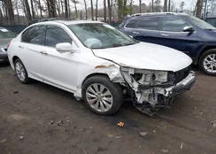 1HGCR3F84DA023932: 44573687