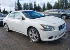 1N4AA5AP7CC803245: 44573772