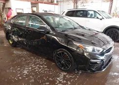 3KPF54AD1LE243476: 44573416