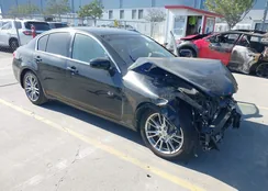 JNKBV61E58M207963: 44573501