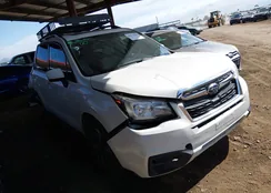 JF2SJADCXHH459339: 44575993