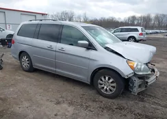 5FNRL3H71AB024229: 44575129