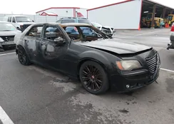 2C3CCAPT6CH273894: 44575181