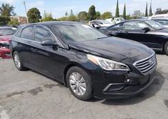 5NPE24AA0HH503248: 44575327