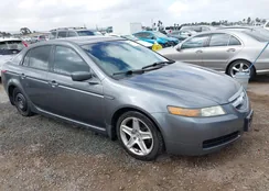 19UUA66206A063405: 44576732