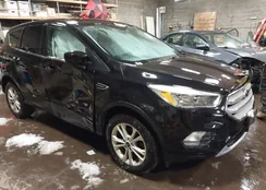 1FMCU9GD4KUA94146: 44577131