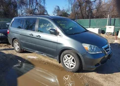 5FNRL38776B428062: 44577453