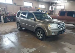 5FNYF4H55AB039601: 44578854