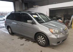 5FNRL38719B054486: 44579001