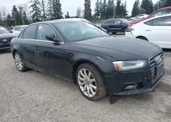 WAUFFAFL3DN003884: 44579656