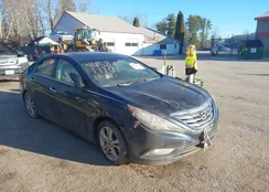 5NPEC4AC6BH016724: 44581110