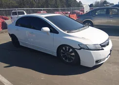 19XFA1F86AE068287: 44583673