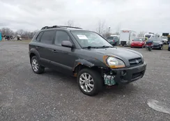 KM8JN72D17U518566: 44583727