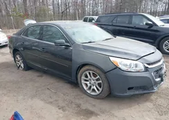 1G11C5SL3EF217023: 44584076