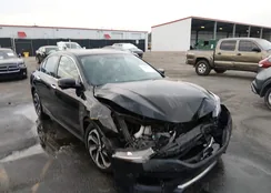 1HGCR2F81HA257509: 44584979