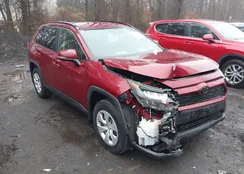 JTMG1RFV2KD503527: 44585376