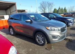 5XYPG4A39GG106610: 44586589