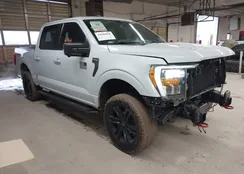 1FTFW1E81MKE15531: 44586866