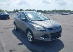 1FMCU9GX3EUD31532: 44589778