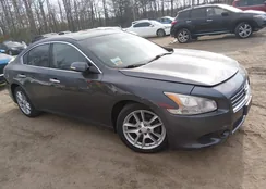 1N4AA5AP9AC861368: 44589897