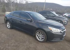 1G11C5SL6FF330188: 44589161