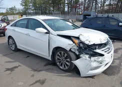 5NPEC4AC5BH101439: 44589323