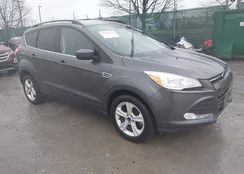 1FMCU9GX3GUC48167: 44590904