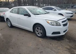 1G11B5SA0DF331464: 44590132