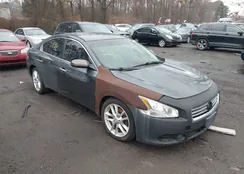 1N4AA5AP8DC834313: 44590347