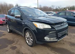 1FMCU9GX7EUD05497: 44591594