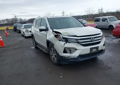 5FNYF6H52HB040775: 44591660