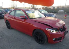 WBA1F7C59FVX96064: 44592033