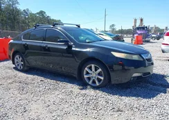 19UUA8F54DA015036: 44591493