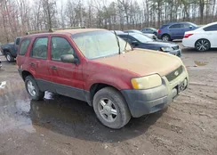 1FMYU92113KA03043: 44593588