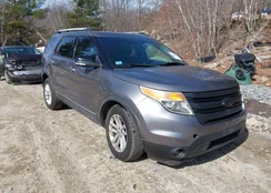 1FM5K8D84DGC32656: 44593708