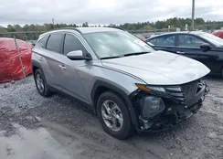 5NMJB3DE3RH420175: 44593816