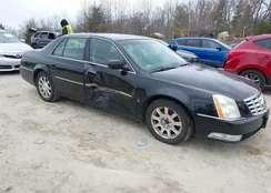 1G6KD57Y09U133386: 44593937