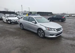 1HGCR2F34EA043680: 44593101