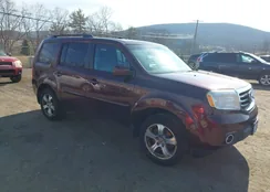 5FNYF4H52DB005748: 44593129