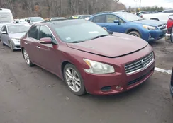 1N4AA51E69C827303: 44595013